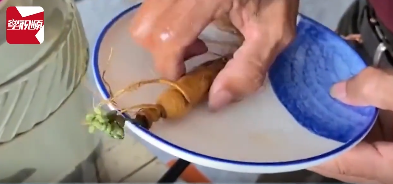 1714006922970035.png image.png