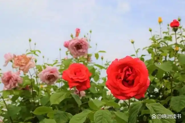 37d3d539b6003af35e1cd181f0d53d521238b6bf.jpg